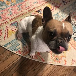 Meet your Posher, Micah